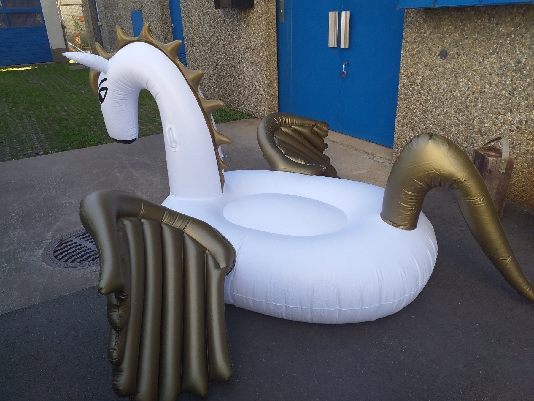 Schwimmringe: Schwimmsitz – Neu (gemäss Beschreibung) aus Giubiasco von pagi2 1