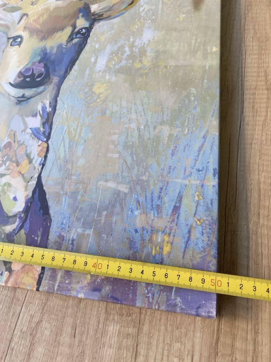Foto & Immagini: Hirschbild  – Usato da bütschwil venduto da dd03 1