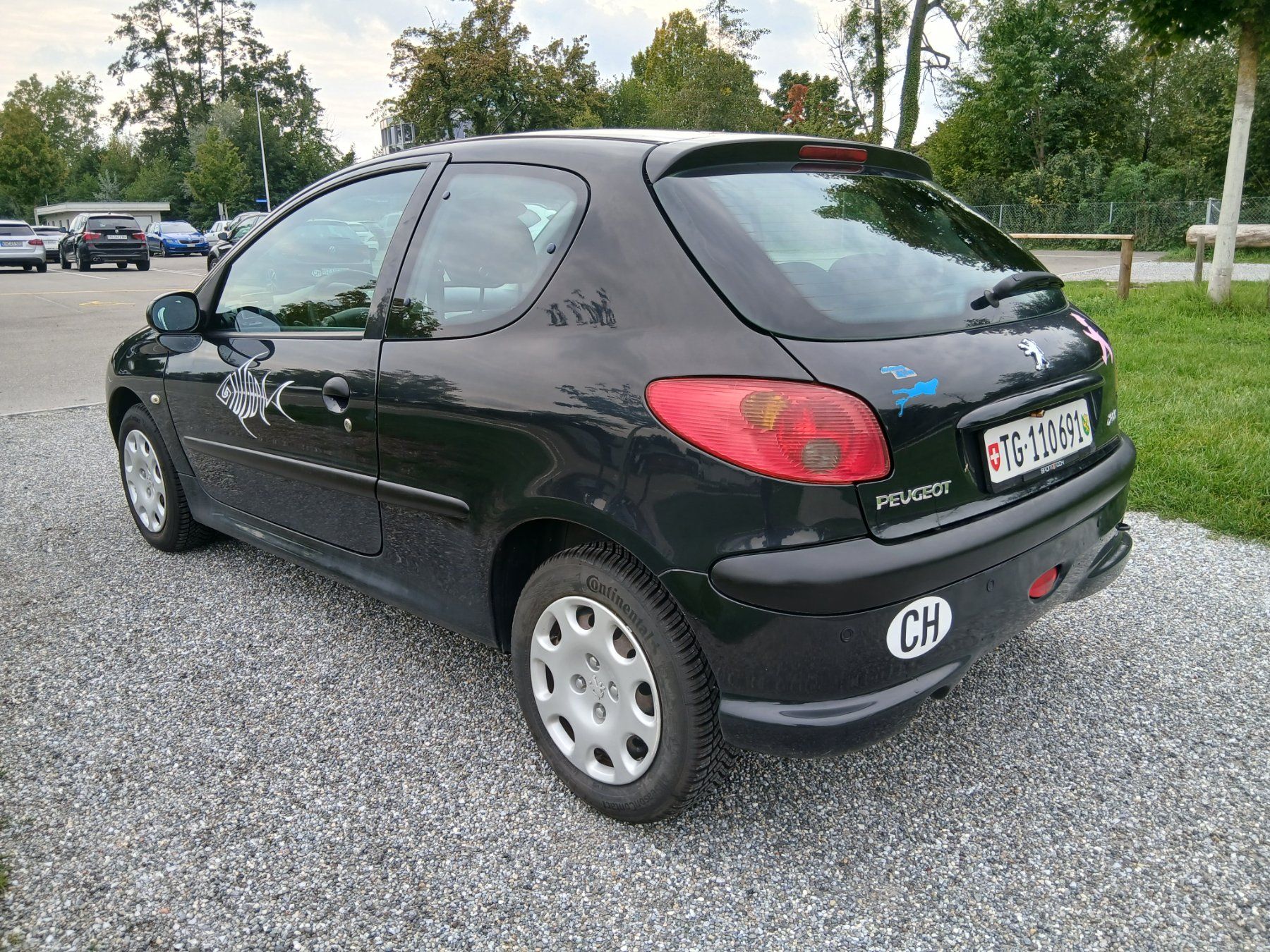 Peugeot Automobili: Peugeot 206 1,4i Youngtimer – Usato da Kreuzlingen venduto da leoremi 2