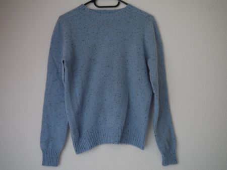 Pullover aus 100% Wolle
