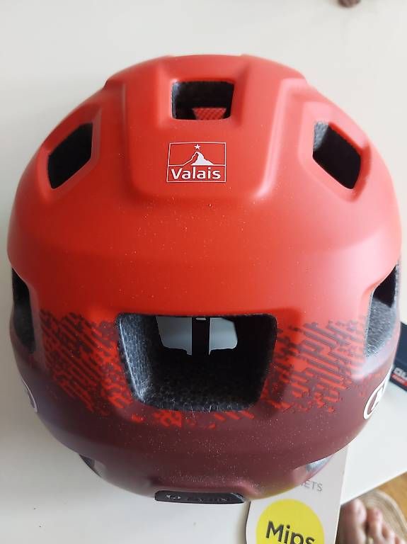 Caschi: Casque vélo VTT Abus édition Valais  – Usato da Lausanne venduto da flybud 1