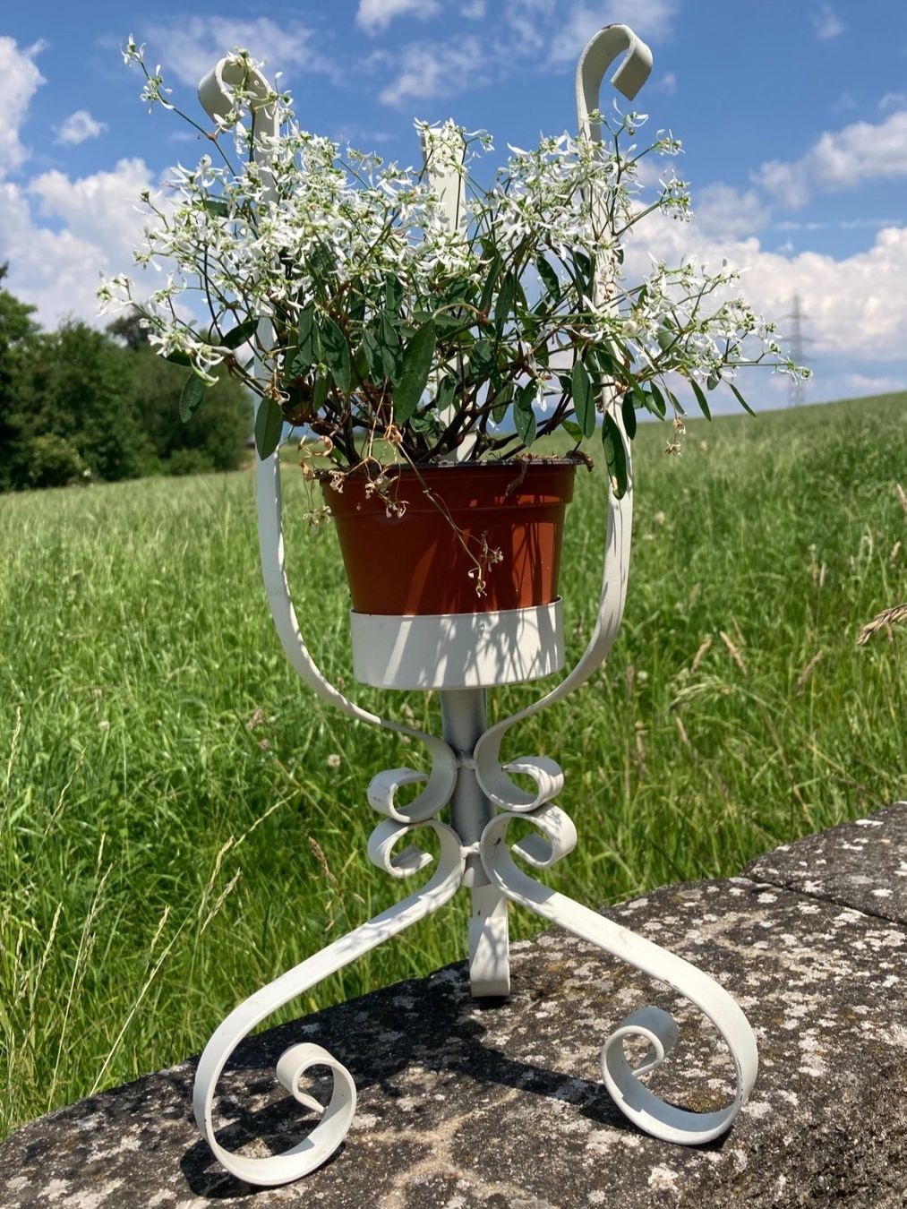 Sonstiges für Haushalt & Wohnen: Blumentopfhalter Blumenständer Metall – Gebraucht aus Subingen von Etageren 3