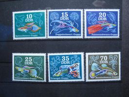 DDR 1976 Zierfische Guppys **