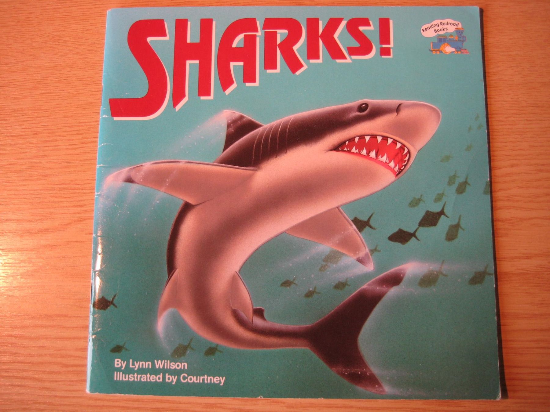 Libri: Sharks! – Usato da Greifensee venduto da Janali01