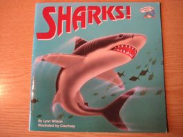 Sharks!