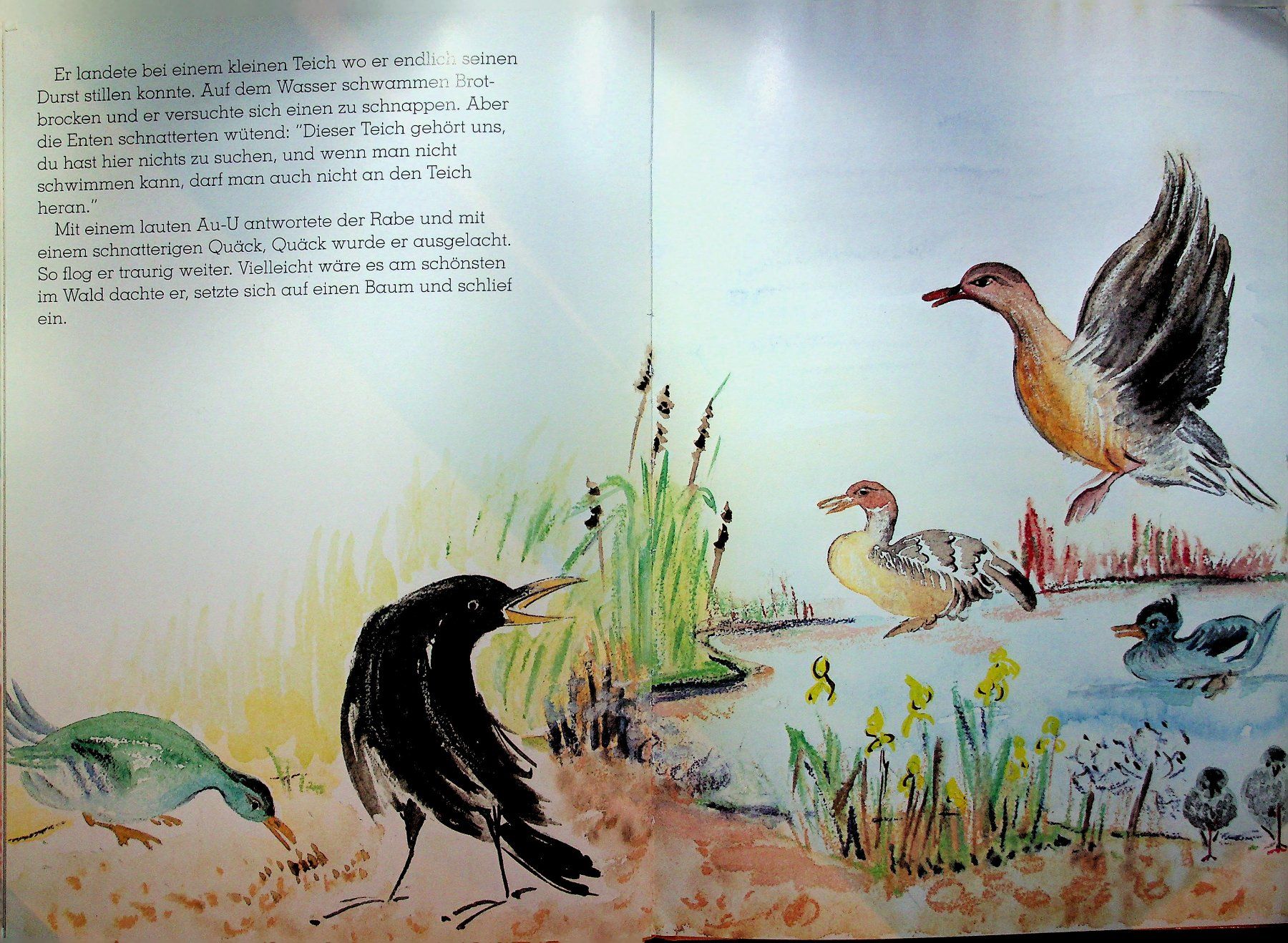 Libri: Els Häusermann Vom Traum im Wald – Usato da Reitnau venduto da zao_6stq 5