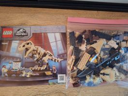 lego 76940 T. Scheletro di Rex nella mostra di fossili