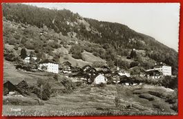 Tengia 1955