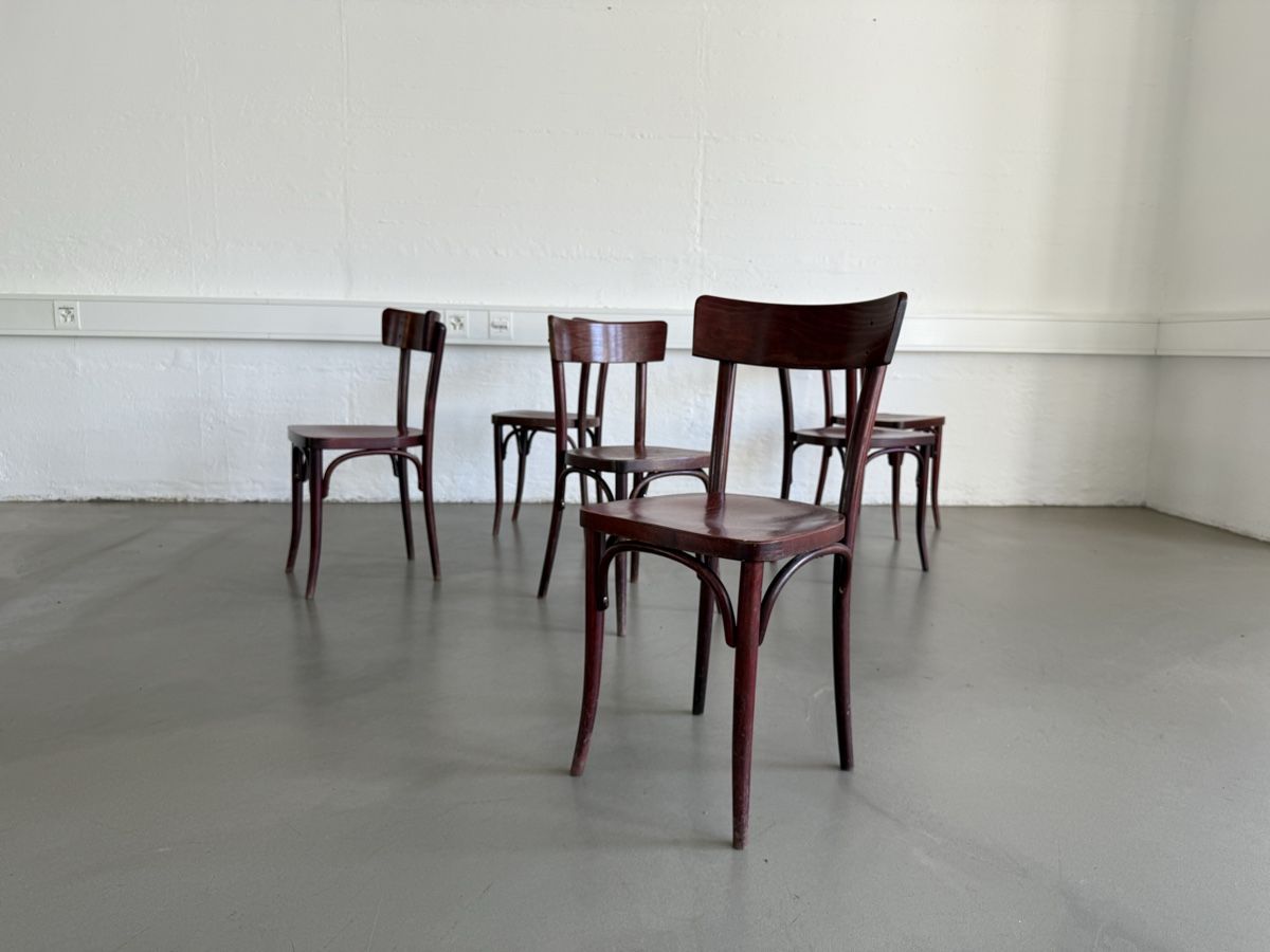 Thonet Sedie: 6 antike Thonet-Stühle, restauriert – Usato da Grenchen venduto da Design-Outlet