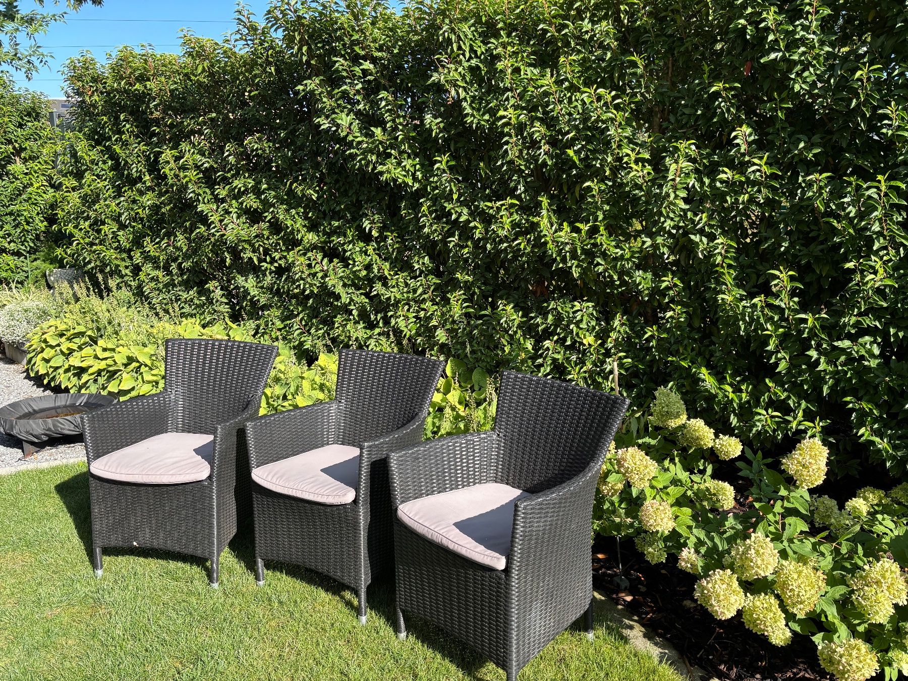 Chaises: 3 Gartenstühle Polyrattan – D'occasion à Weinfelden par Schuede10 1