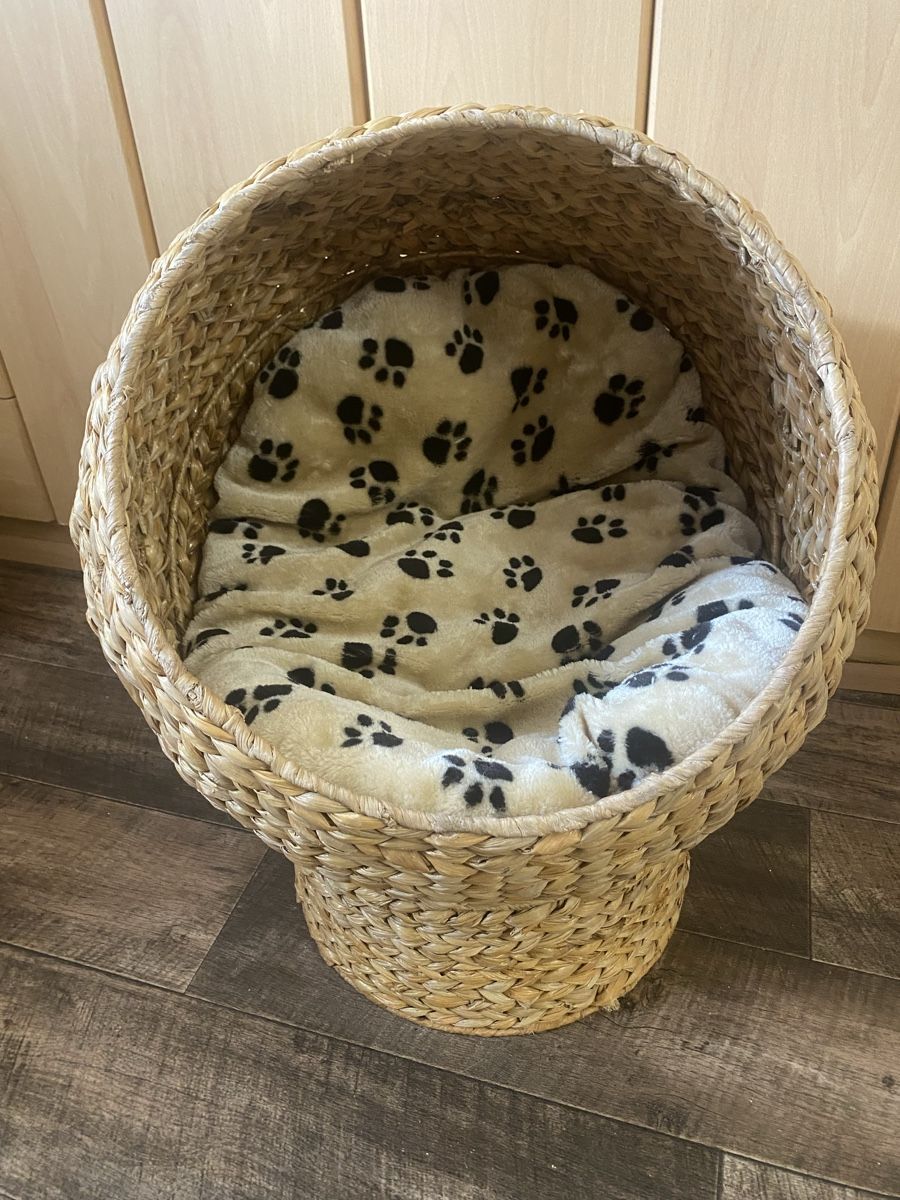 Cucce & Letti: Rattan Hunde/Katzenkorb Bett – Usato da Seewen SZ venduto da shaky01