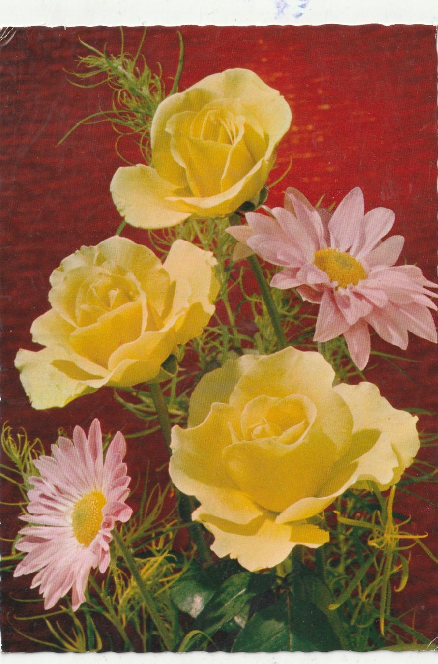 Cartoline postali: Blumenkarte – Usato da Lumbrein venduto da made02