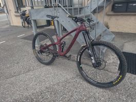 Carbon MTB Fully Transition Sentinal (Grösse M: 163-181)