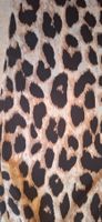 Leichte Sommerhose S