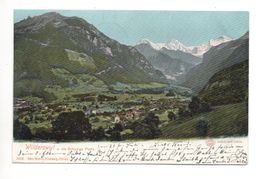WILDERSWIL u. Schynige Platte