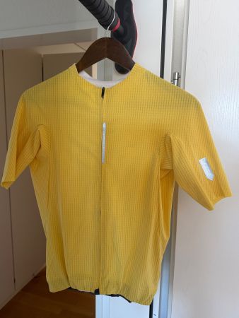 Q36.5 Dottore Pro Jersey Gelb Size M