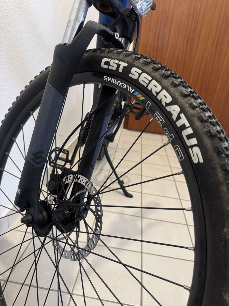 Velos: E-bike – Gebraucht aus Fribourg von ale_5xtl 9