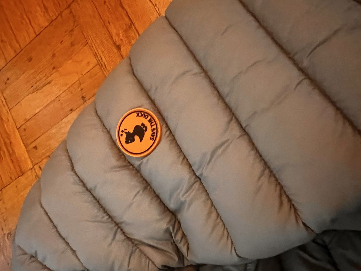 Save the duck Giacche: Save the Duck Jacke Men – Nuovo (secondo la descrizione) da Küsnacht ZH venduto da lau_8qc2 3