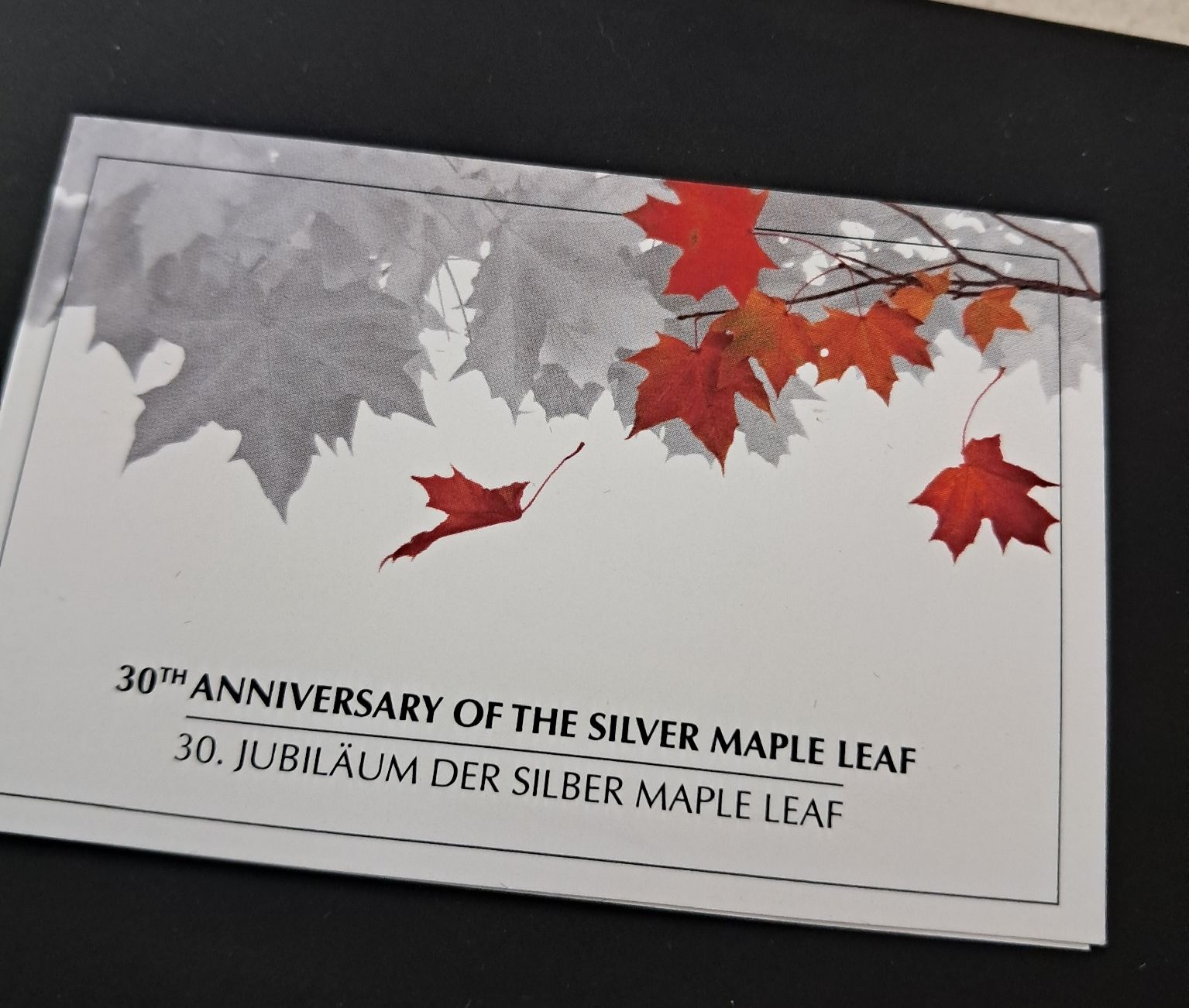 Tutti le monete: 1 OZ Silber Maple Leaf 2018 in Barren: Lim: 5000 Stk – Nuovo (secondo la descrizione) da Weinfelden venduto da shopping-island 3
