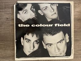 A381/The Colourfield