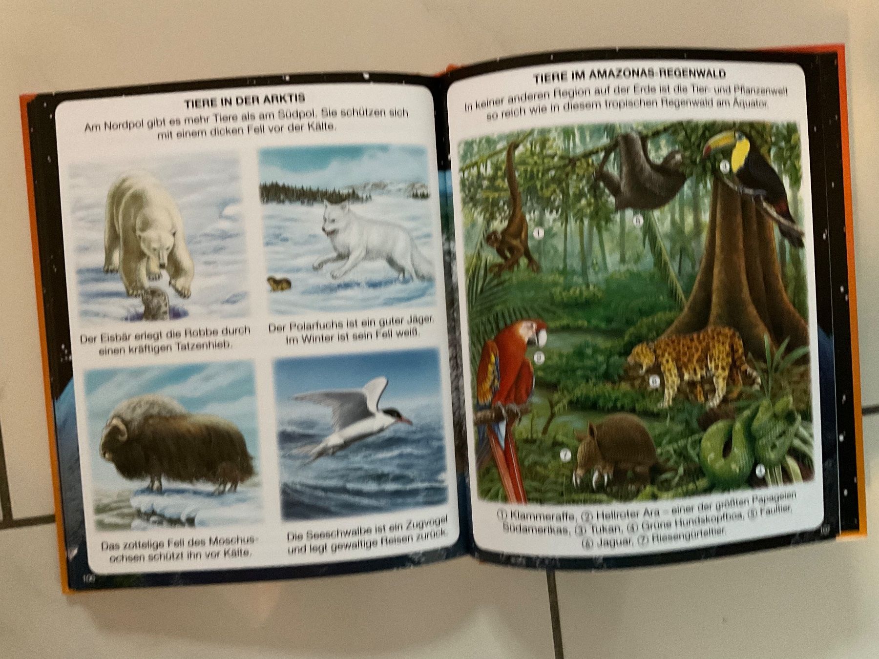 Bücher: Die Erde – Neu und originalverpackt aus Biel-Benken BL von Sahra1 4