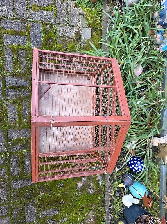Tutte le decorazioni: Deko Vogelhaus – Usato da Zuzgen venduto da KaffiiZ 2
