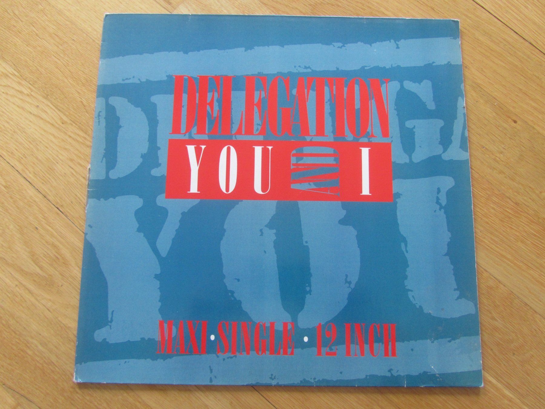 Vinyles: Delegation You And I 12" Maxi-Single Vinyl – D'occasion à Seengen par mikelele