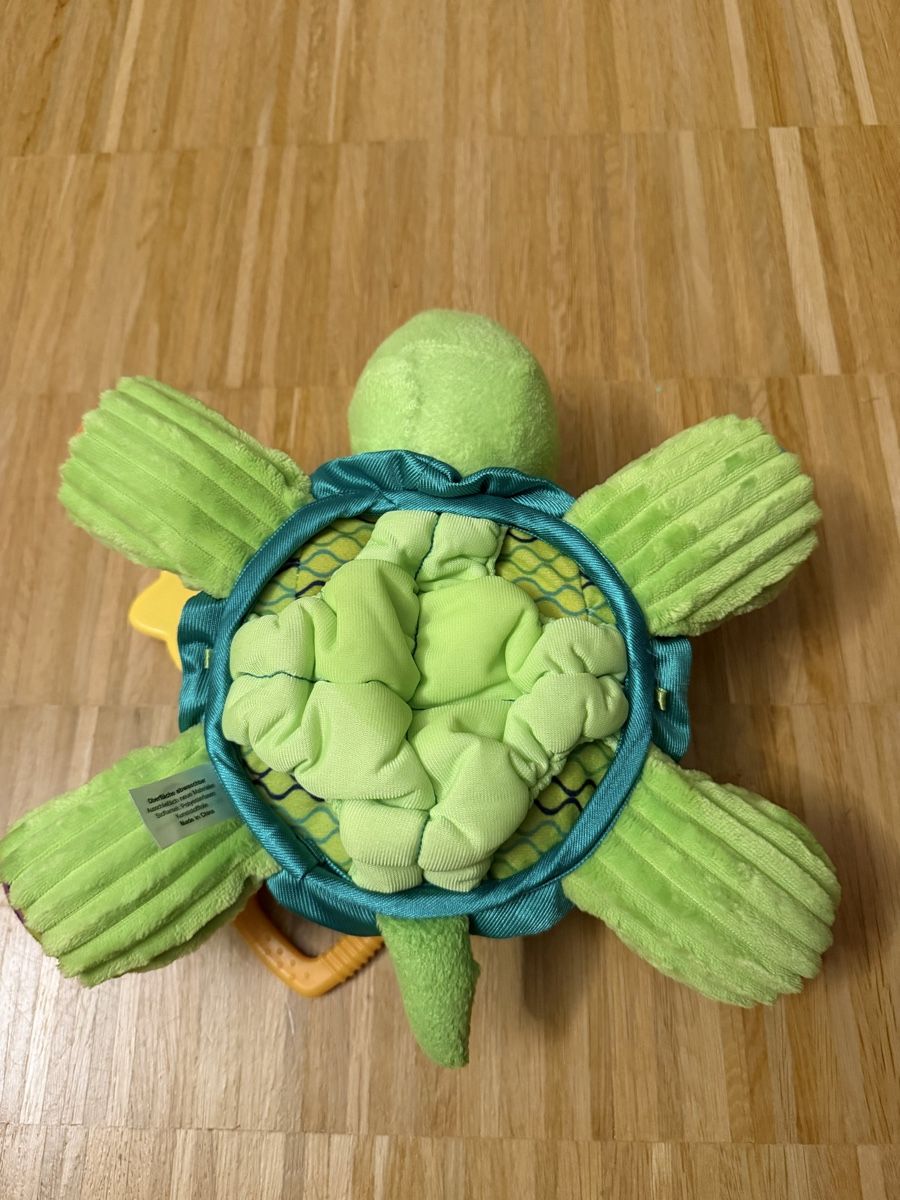 Vtech Giocattoli: VTech Schildkröte Spielzeug “Cache cache” – Usato da Brugg AG venduto da Winter789 2
