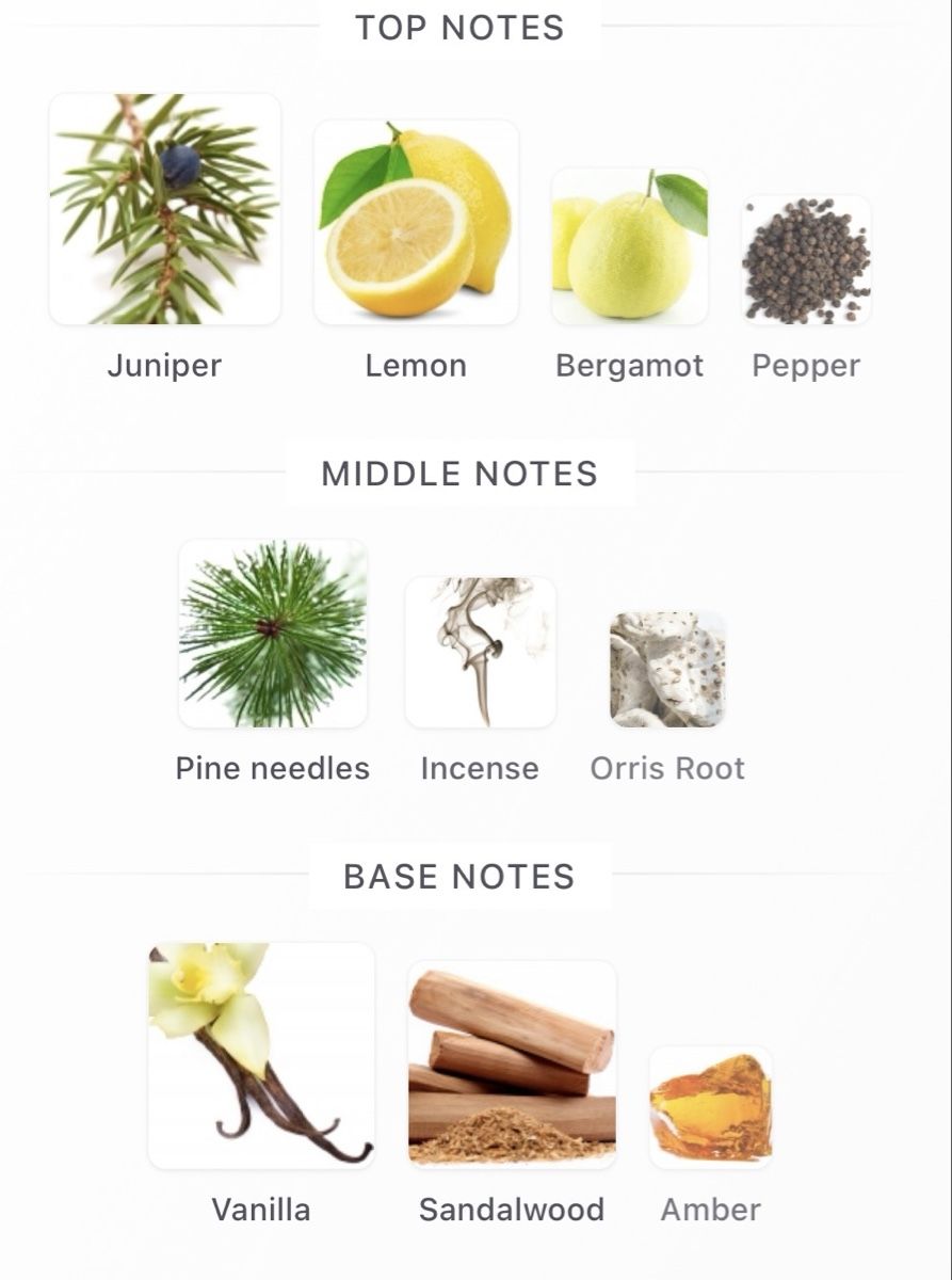 Byredo Parfum & Eau de Toilette: NICHE — 2x 2ml EdP — Byredo – Neu und originalverpackt aus Genève von StaceyH 2