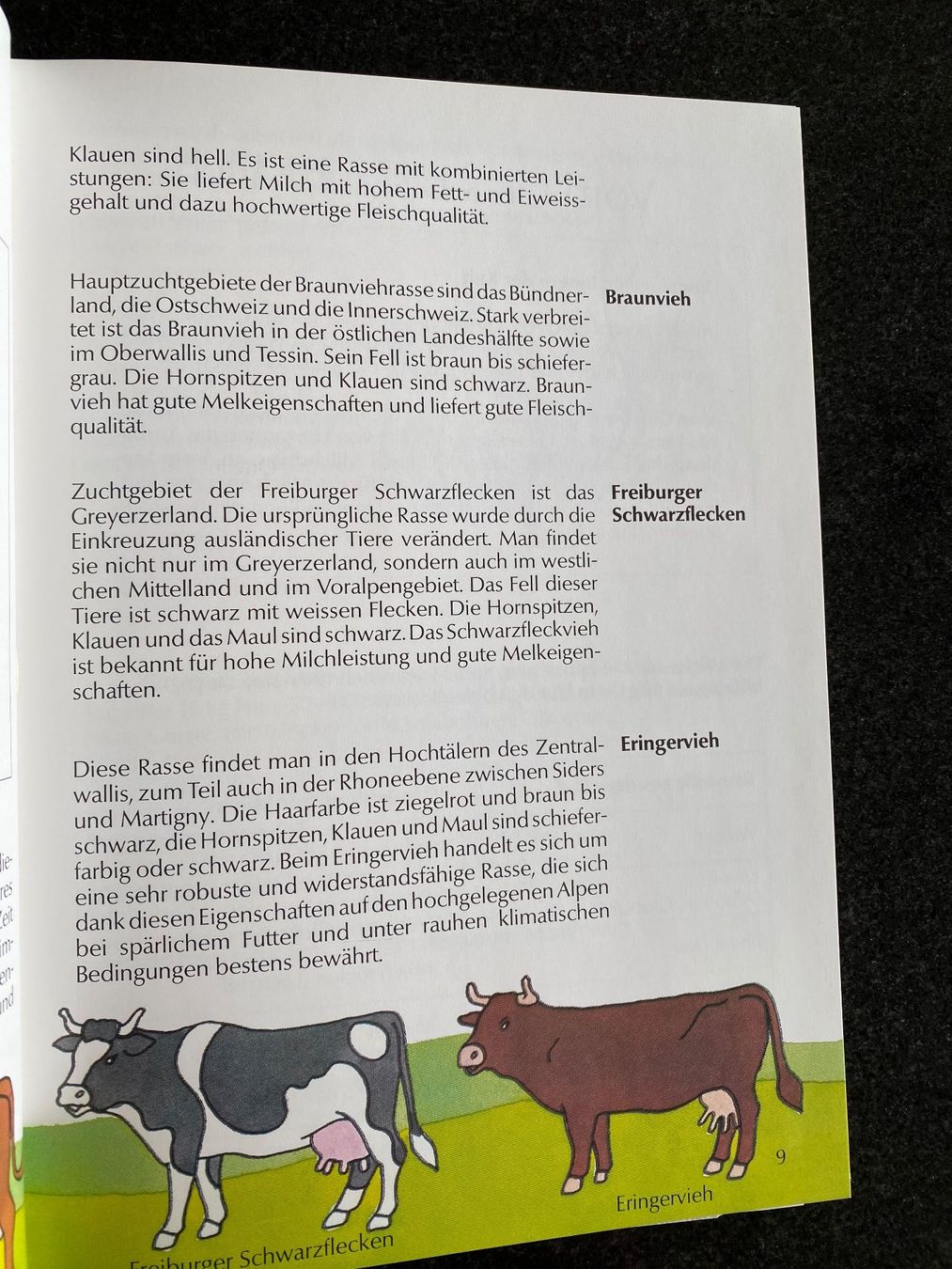 Libri: ZVSM - Das Milch-Buch – Nuovo (secondo la descrizione) da Meisterschwanden venduto da Lapins2019 5