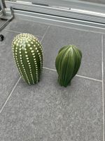 Keramik Kakteen Deko, 2 Stück, Grün, für den Gartentisch