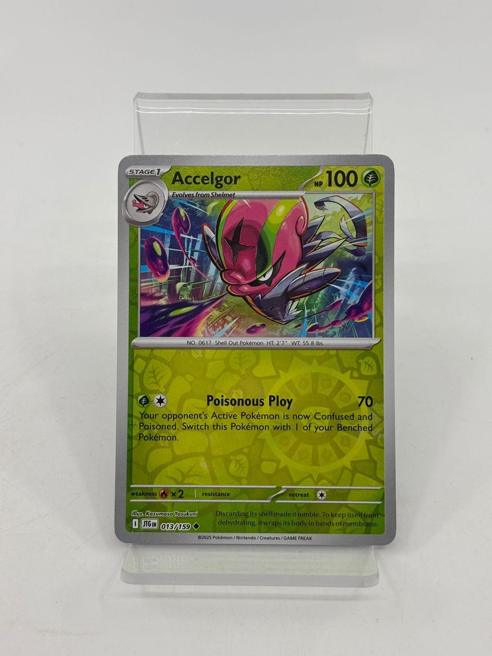 Pokémon Carte collezionabili: Pokemon Accelgor 013/159 – Usato da Herisau venduto da Pokemon2026