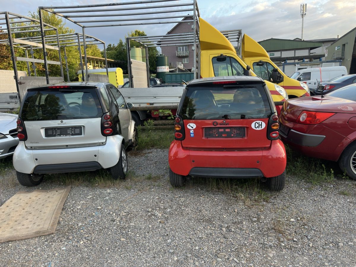 Smart Automobili: 2x Smart ForTwo  – Usato da Hombrechtikon venduto da RPFOliveira