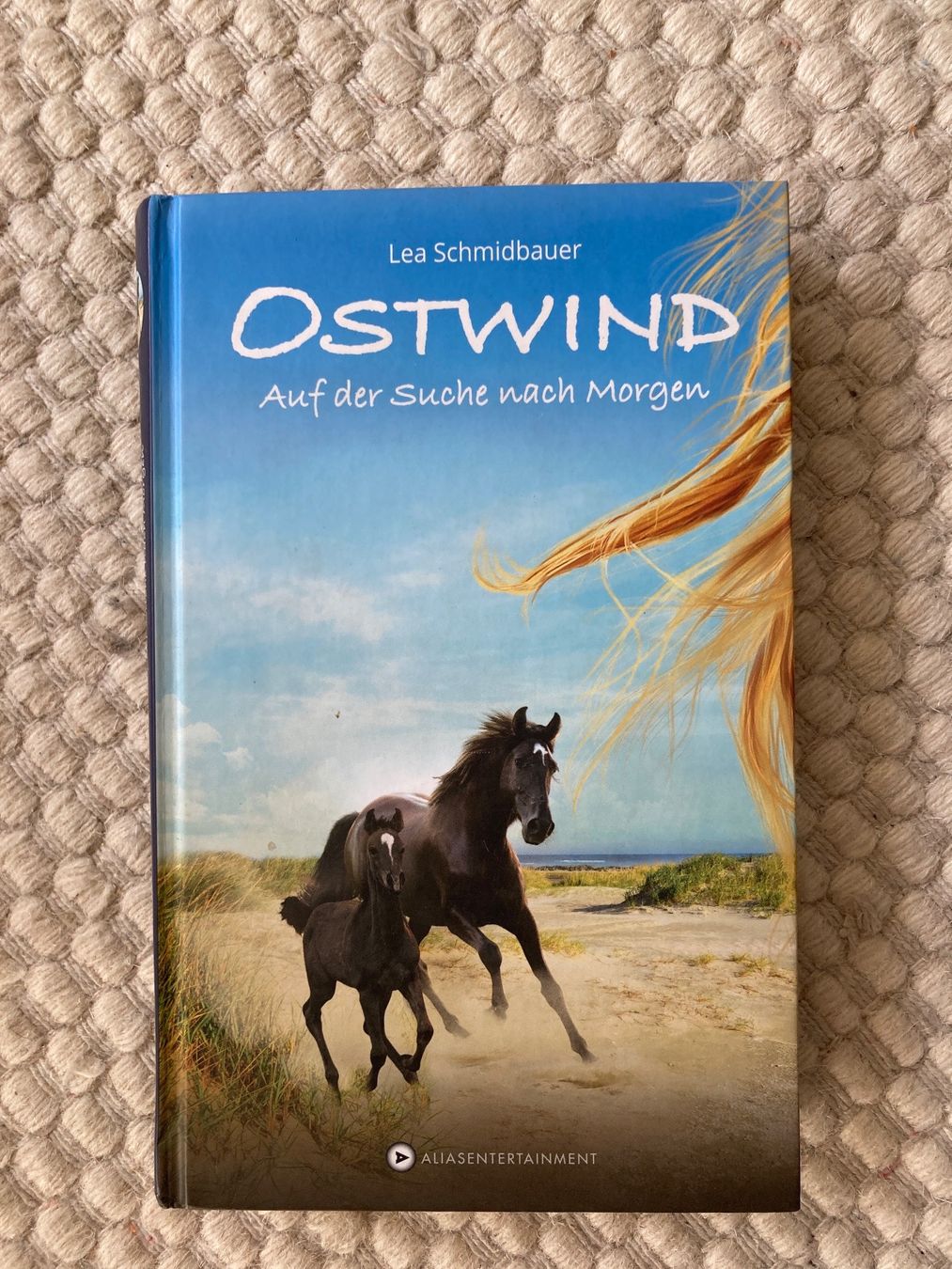 Libri: Lea Schmidbauer | Ostwind - Auf der Suche nach Morgen – Usato da Basel venduto da AufeinenBlick