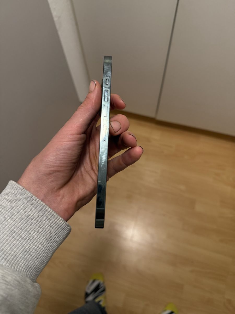 Apple iPhone 13 Pro Max Alpine Green in gutem Zustand (Gebraucht) in ...