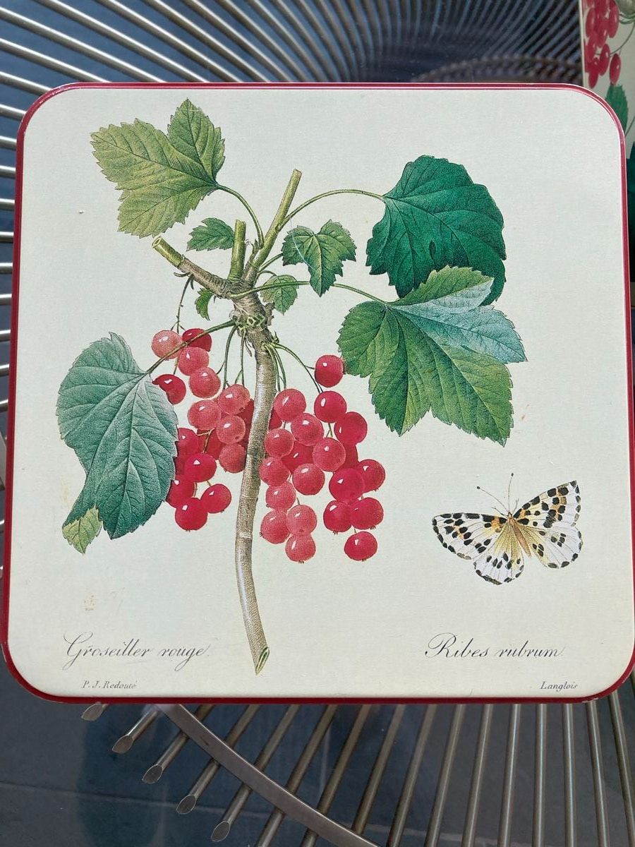 Tutte le decorazioni: Blechdose mit Beerenmotiv, ungebraucht, Nostalgie – Nuovo (secondo la descrizione) da Zürich venduto da dolcicaramelle2