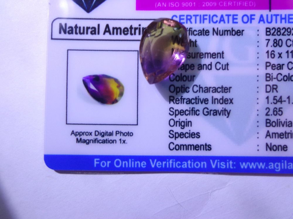 Ametrine Bicolore Naturelle (Bolivie) - Forme Briolette Percée - 22.50 Carats - Neuf Dodo