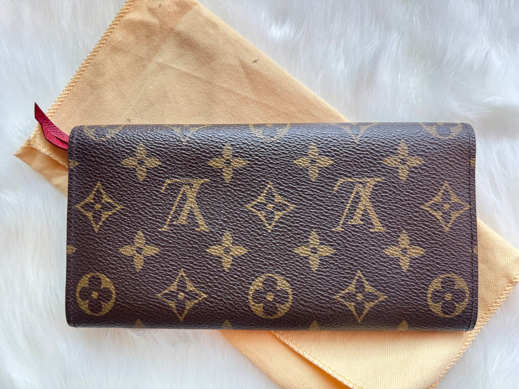 Louis Vuitton Portemonnaies: Original Louis Vuitton  Portemonnaie – D'occasion à Grossdietwil par RSW032 1