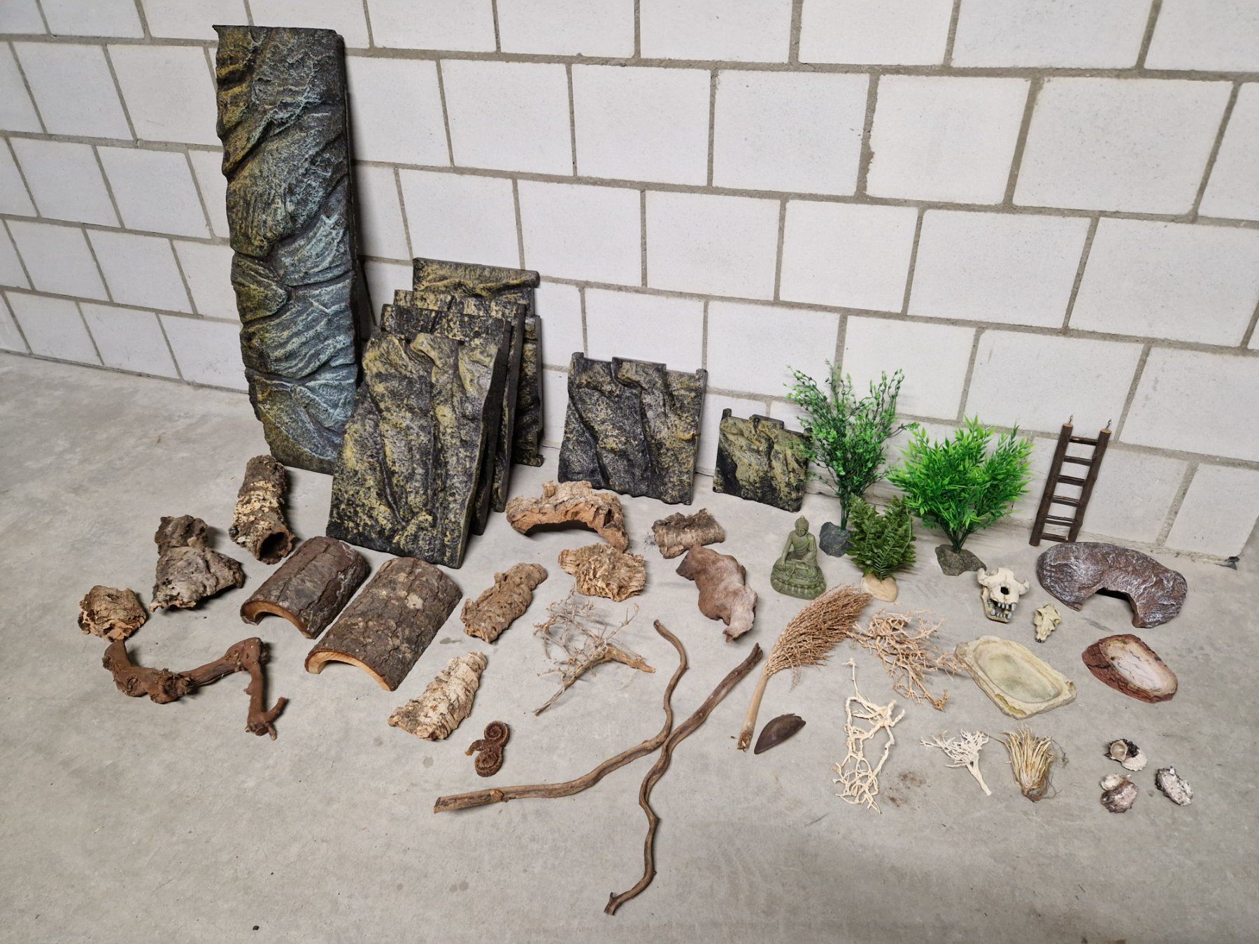 Exo terra Terrario: Terrarium zu Verkaufen – Usato da Niederönz venduto da nydi65 2