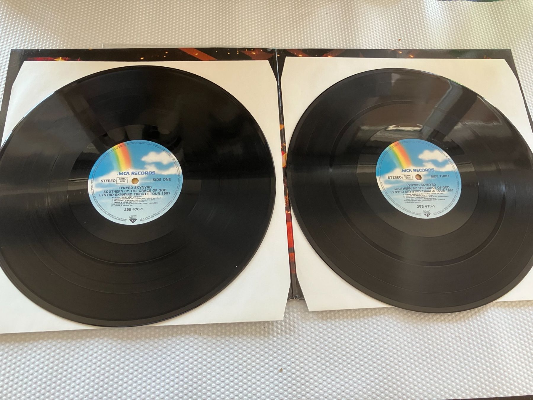 Dischi in vinile: Lynyrd Skynyrd – Usato da Aarwangen venduto da Jukebox3 5