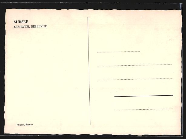 Cartoline postali: AK Sursee, Seehotel Bellevue – Usato da Berlin venduto da bartko-reher 1