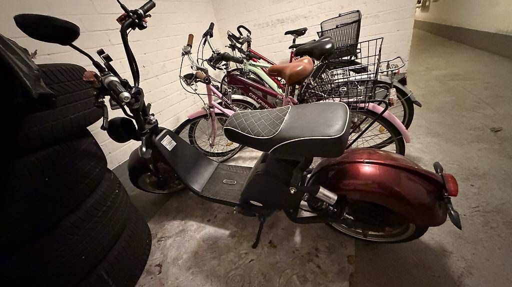 Citycoco Scooter: Citytwister 3.0 E-Roller – Usato da Muttenz venduto da leo_nrh7 3