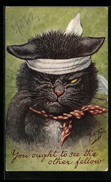 Cartoline postali: Arthur Thiele: Schwarzer Kater hat nach  – Usato da Berlin venduto da bartko-reher