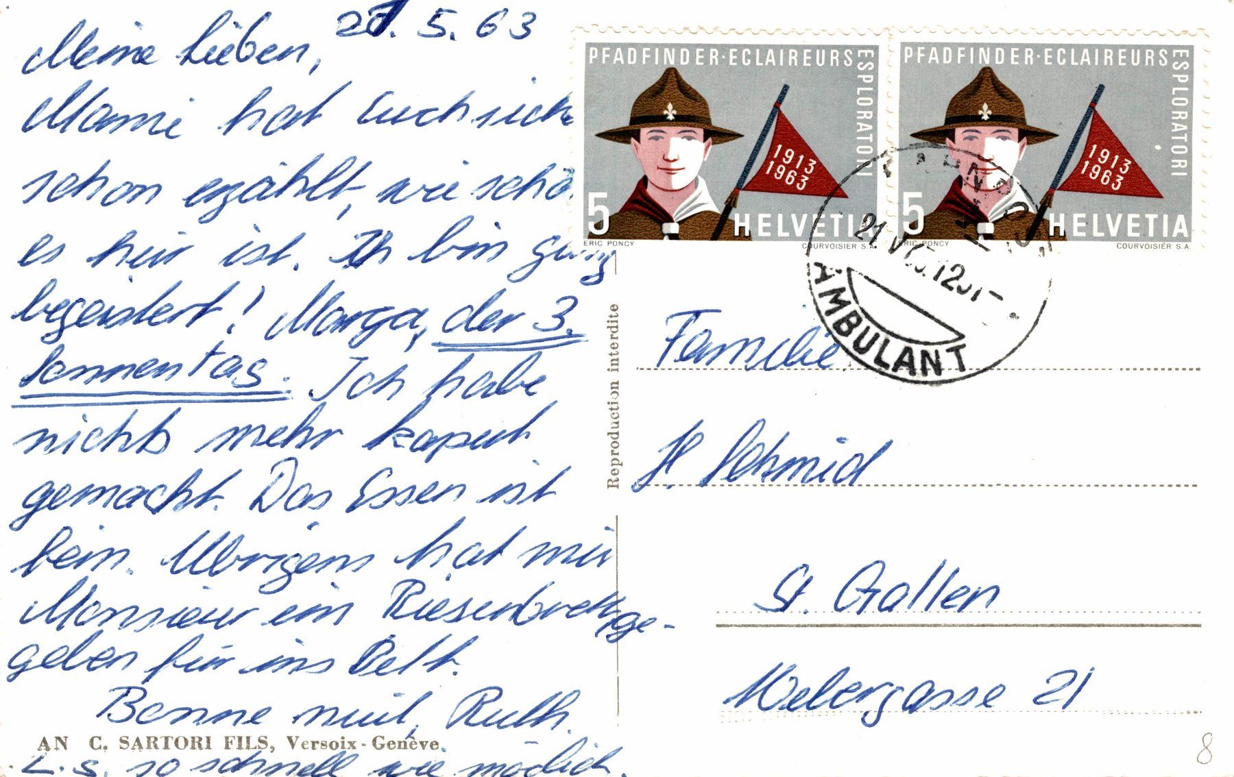Cartoline postali: Versoix. Vue aérienne – Usato da Bronschhofen venduto da Astore 1