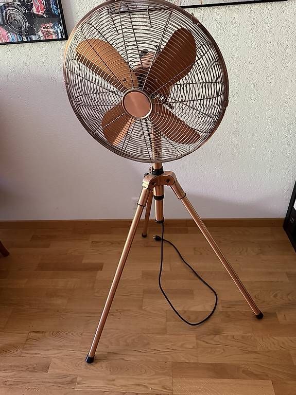 Ventilatori: Grand ventilateur – Usato da Botyre (Ayent) venduto da Claude-EvelyneS 1