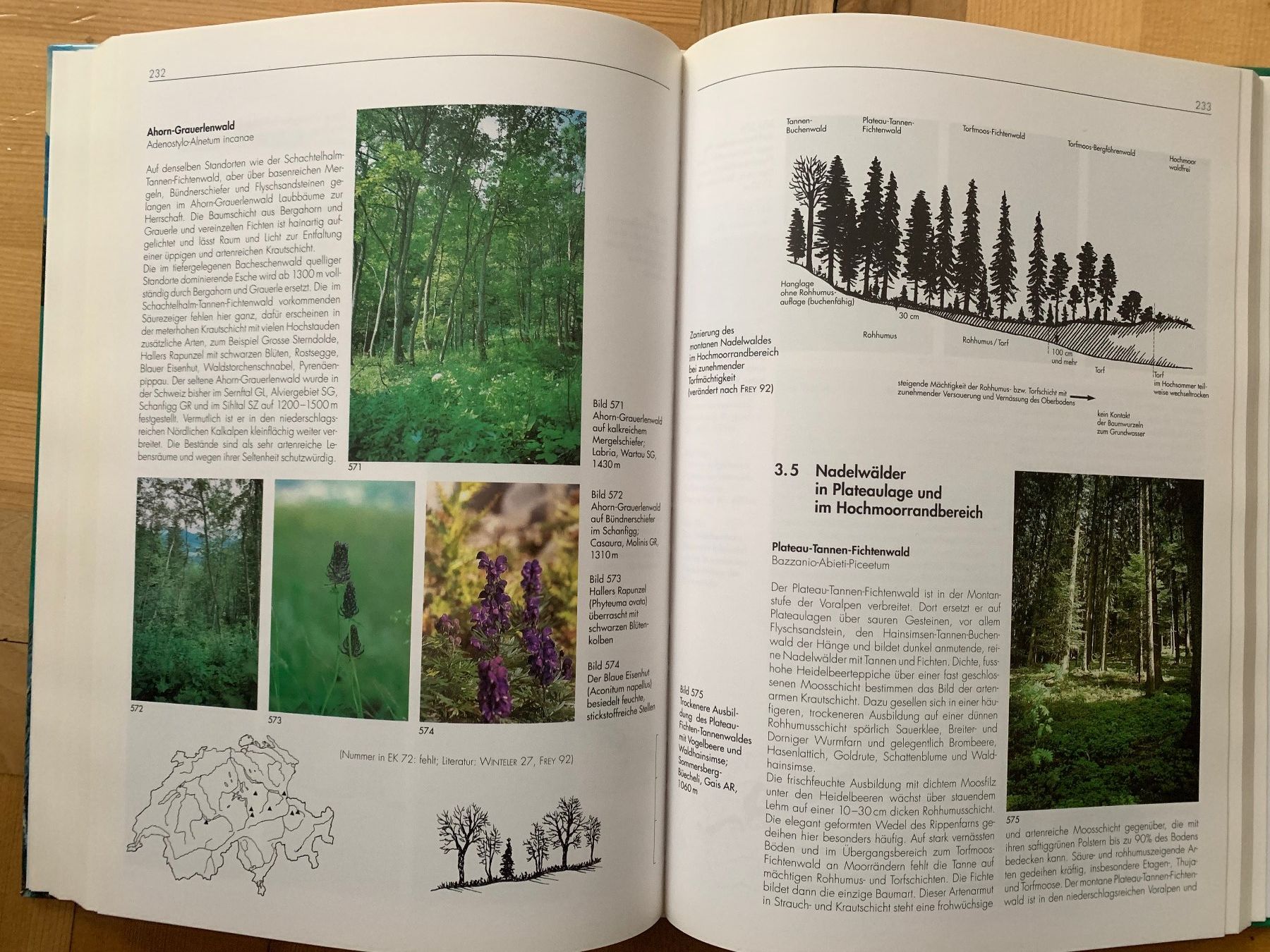 Libri: Wälder der Schweiz – Usato da Thalwil venduto da Ardez123 3