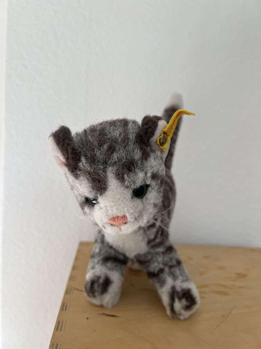 Steiff Giocattoli: Steiff Katze Filz guter Zustand – Usato da winterthur venduto da Cw5
