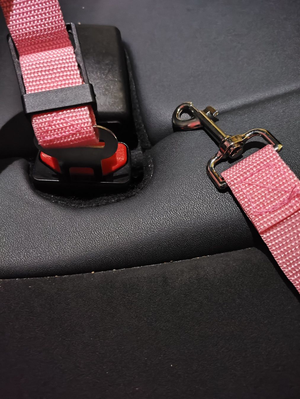 Ceinture De Sécurité Pour Animaux De Compagnie – Ceinture De Sécurité Pour Chiens Pour Voiture, Contrôle Facile, Boucle De Sangle Réglable Pour La Sécurité Des Animaux De Compagnie Pour La Conduite Et