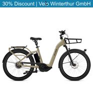 Flyer Gotour3 7.43
