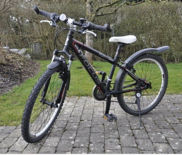 Mountainbike Focus Raven Rookie 24 Kaufen auf Ricardo